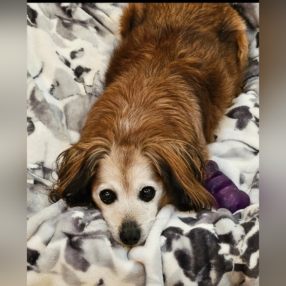 Meet your Posher, Briana - Picture 2 of 3